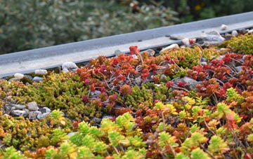 the cost of Gwredog green roof installation