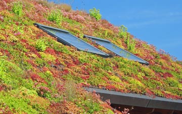 Gwredog living roof systems