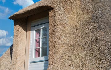 Gwredog thatch roof disadvantages